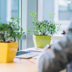 Inviting Nature Into Workspace.